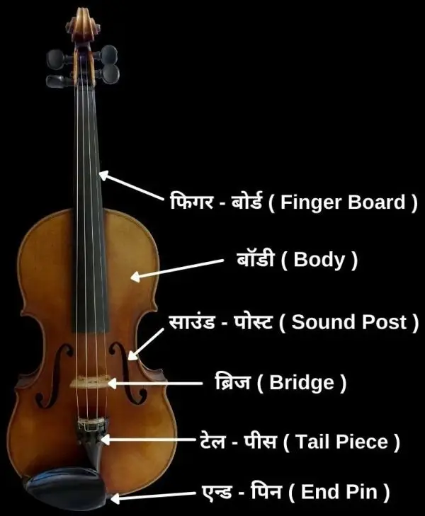 Information about violin in outlet hindi